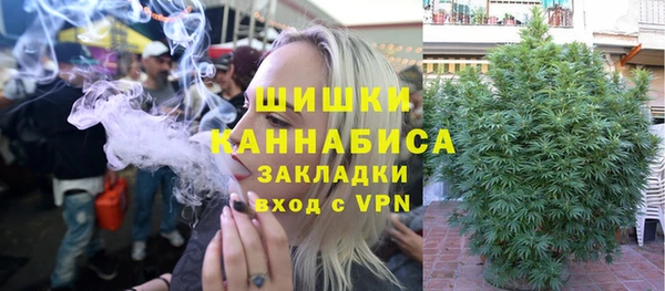 сатива Тихорецк