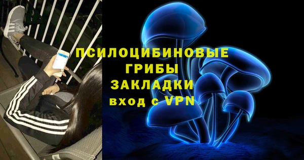 гидра Тобольск